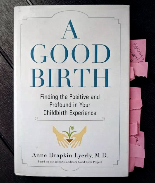 A Good Birth by Anne Drapkin Lyerly