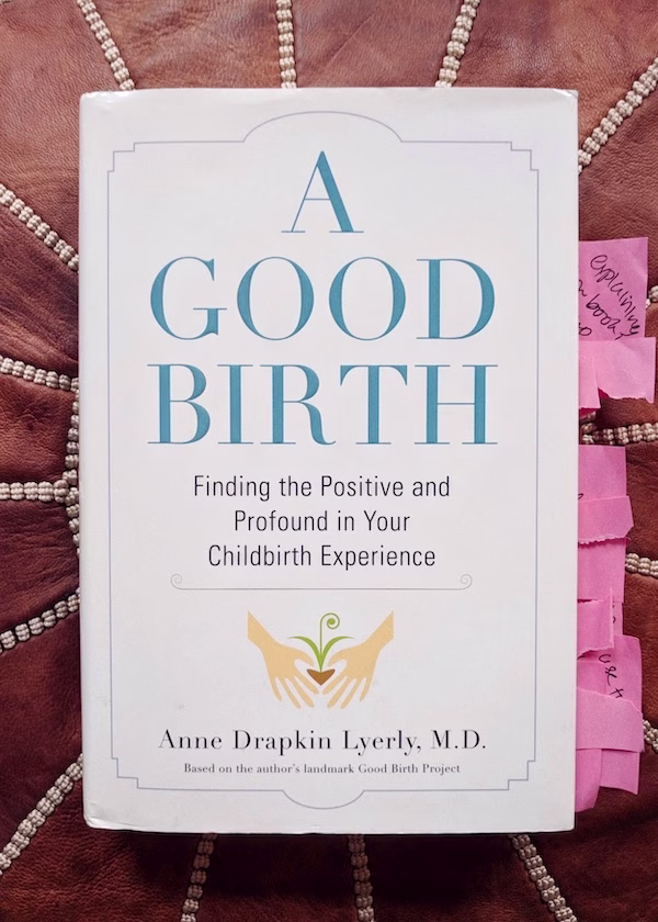 A Good Birth by Anne Drapkin Lyerly - How a book about childbirth taught me to focus on experiences instead of outcomes and helped sharpen my academic writing