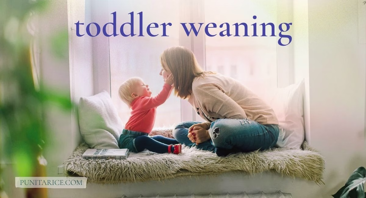 Toddler Weaning: Deciding to Gradually Wean Your Toddler & Making it Happen
